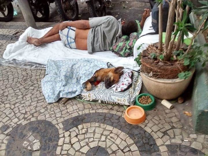 Câmara do Rio aprova lei que autoriza moradores de rua a entrar em abrigos com animais de estimação