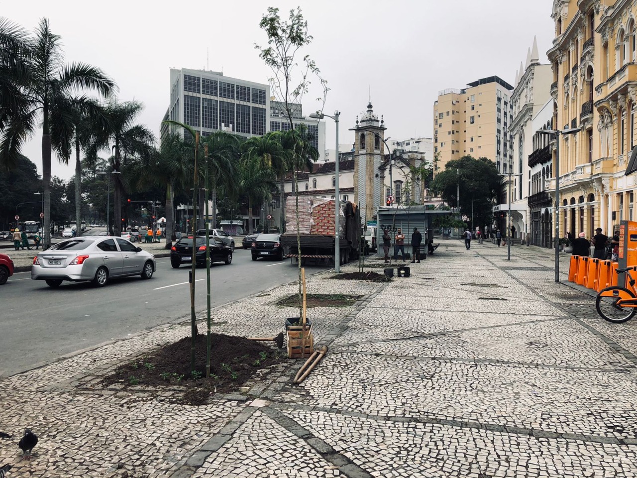 Plantação do Pau-Brasil em frente à sede do Centro de Teatro do Oprimido, na Av. Mem de Sá