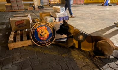 Imagem de drogas apreendidas no Porto do Rio