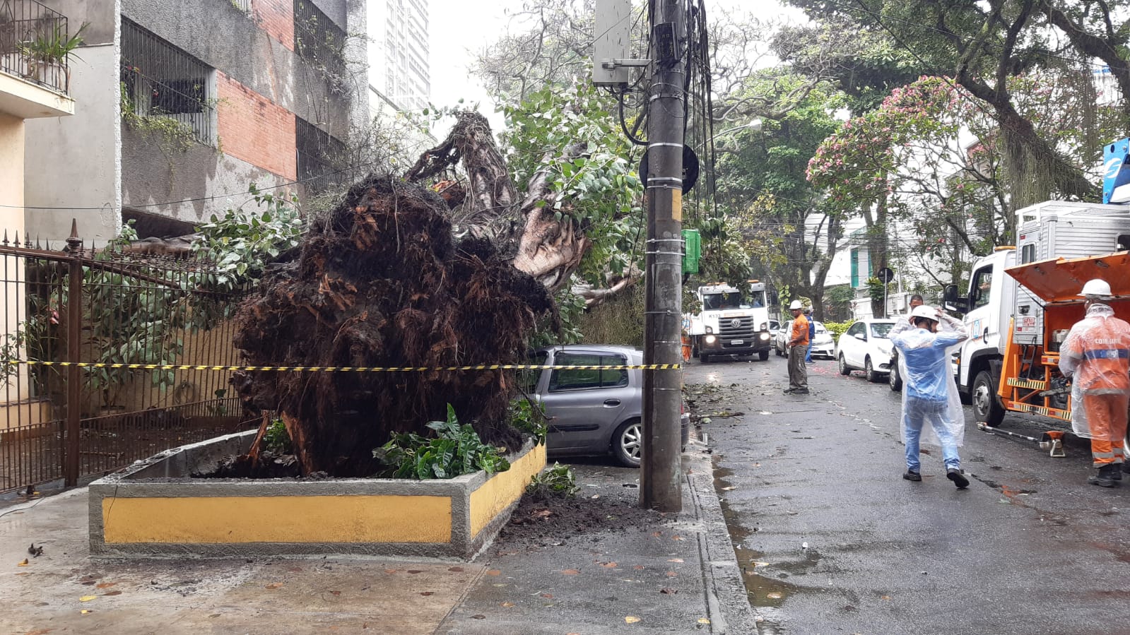 Árvore caída sobre um carro 