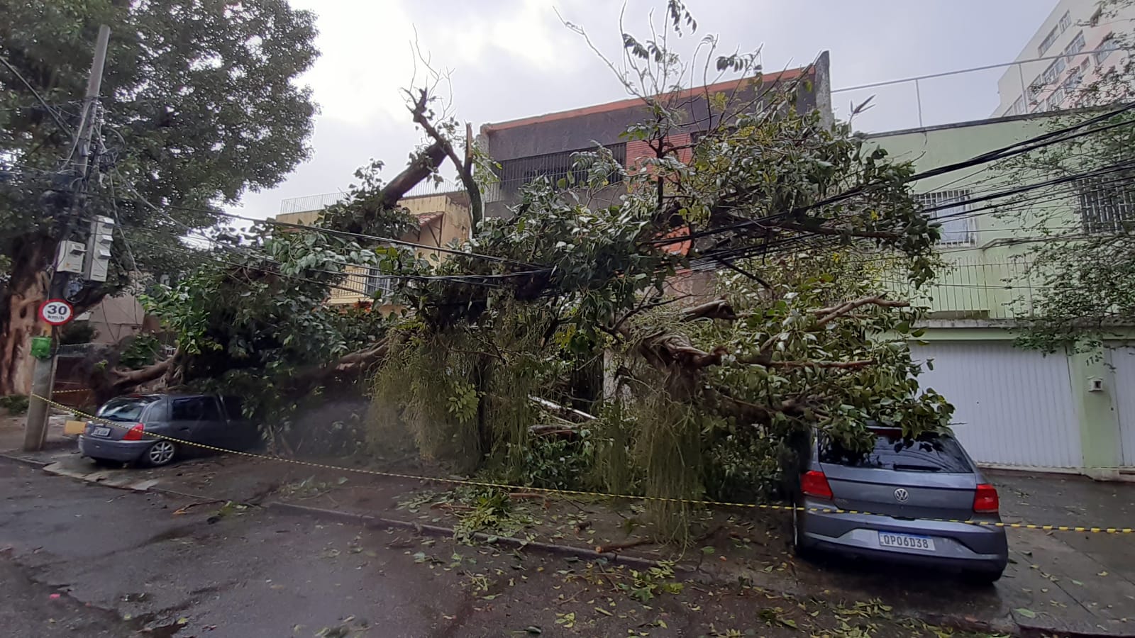 Imagem de uma árvore caída sobre dois carros 