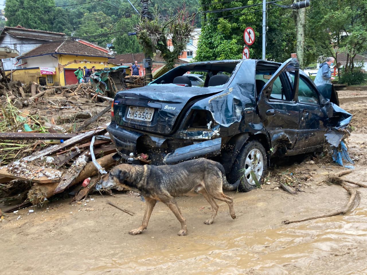 Tragédia em Petrópolis