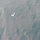 Poltrona que seria de avião bimotor que caiu no mar na região de Ubatuba