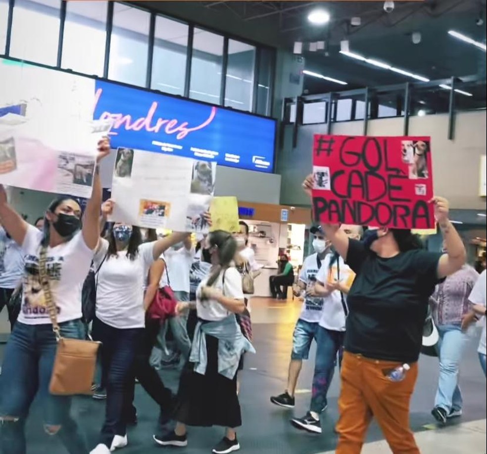 Manifestantes protestam contra a companhia aérea Gol por conta do desaparecimento da cadela Pandora, no aeroporto de Guarulhos, na Grande São Paulo