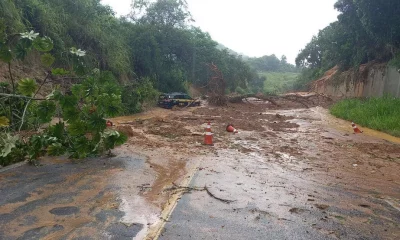 Quedas de árvores e deslizamentos de terra bloqueiam trechos da Rio-Santos