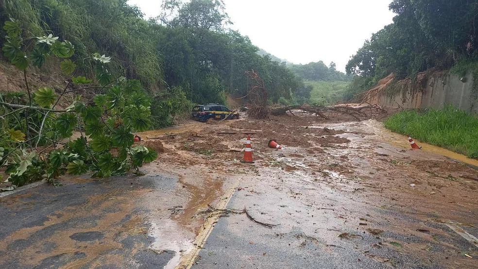 Quedas de árvores e deslizamentos de terra bloqueiam trechos da Rio-Santos